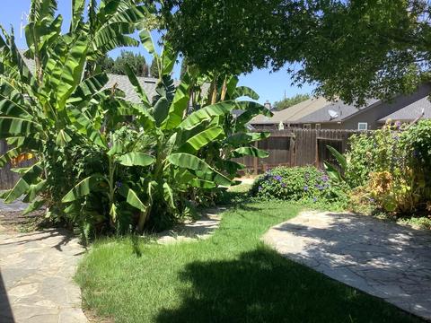 1336 N Pointe Pl, Modesto, CA 95355 photo 30