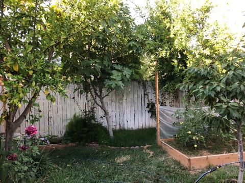7954 Eagle Peak Way, Antelope, CA 95843 photo 37
