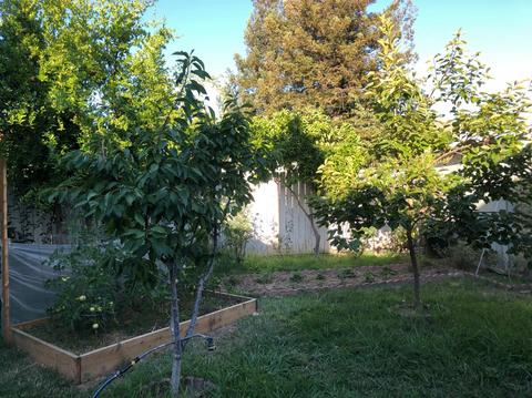 7954 Eagle Peak Way, Antelope, CA 95843 photo 36