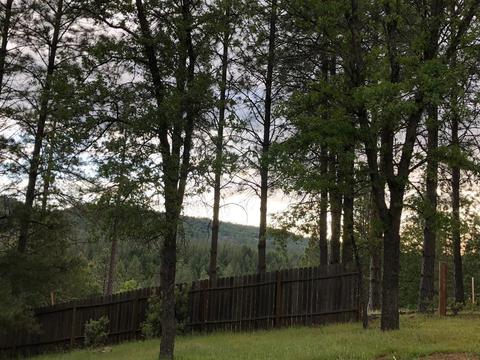 4698 Paso Ct, Placerville, CA 95667 photo 16