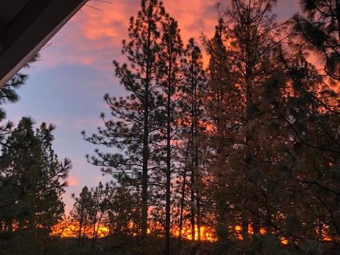 4698 Paso Ct, Placerville, CA 95667 photo 10