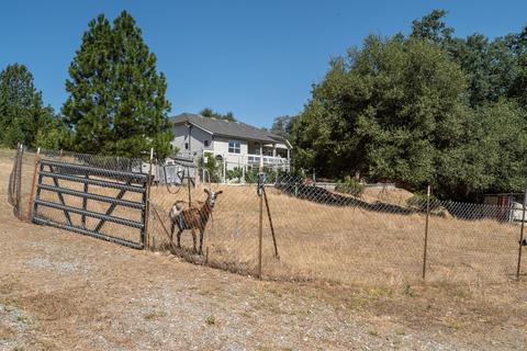 3485 Suncrest Dr, Placerville, CA 95667 photo 56