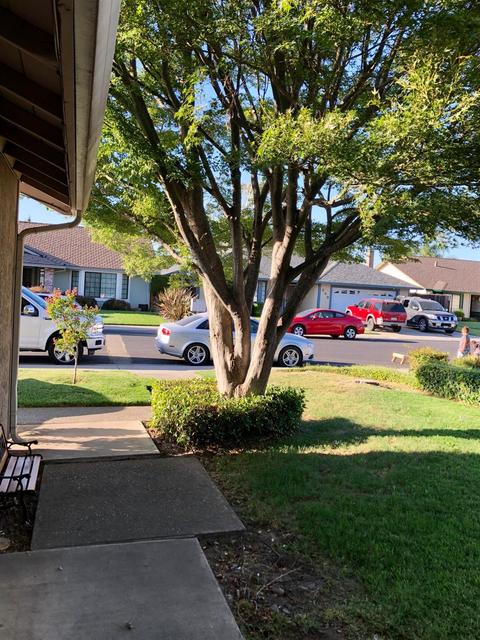 332 March Dr, Manteca, CA 95336 photo 3