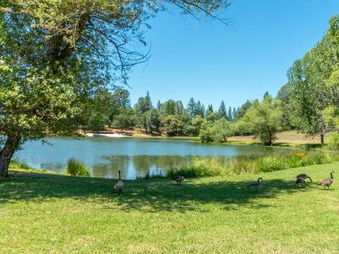 6210 Pine Needle Ln, Placerville, CA 95667 photo 40
