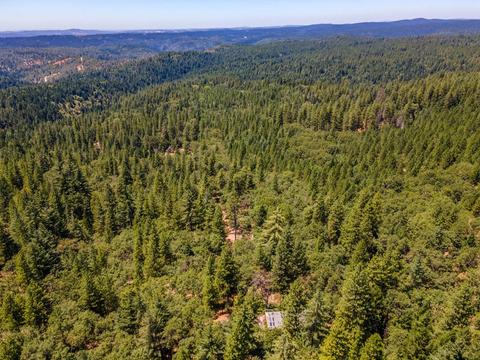 6210 Pine Needle Ln, Placerville, CA 95667 photo 34