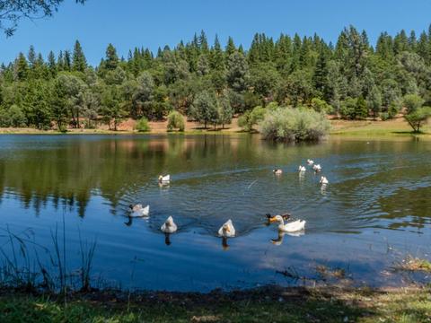 6210 Pine Needle Ln, Placerville, CA 95667 photo 41