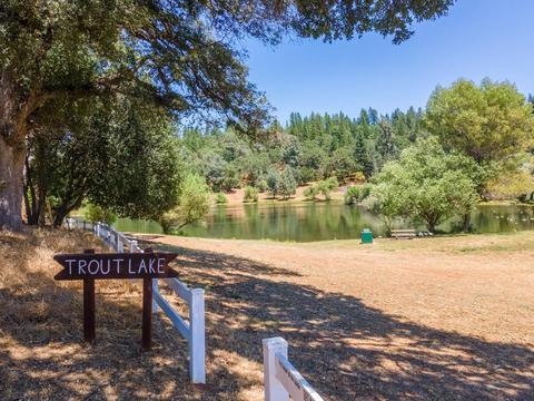 6210 Pine Needle Ln, Placerville, CA 95667 photo 37