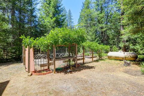 12683 Pine Vw, Grass Valley, CA 95945 photo 5