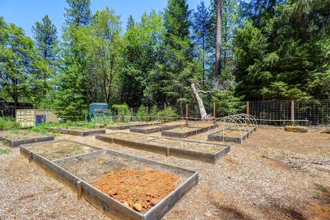 12683 Pine Vw, Grass Valley, CA 95945 photo 60