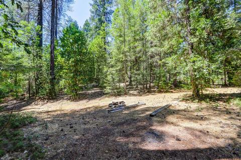 12683 Pine Vw, Grass Valley, CA 95945 photo 36