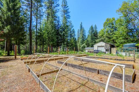 12683 Pine Vw, Grass Valley, CA 95945 photo 6