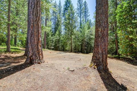 12683 Pine Vw, Grass Valley, CA 95945 photo 39