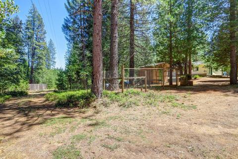12683 Pine Vw, Grass Valley, CA 95945 photo 48