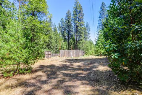 12683 Pine Vw, Grass Valley, CA 95945 photo 49
