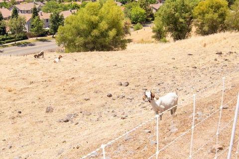 2325 Longspur Loop, Lincoln, CA 95648 photo 49
