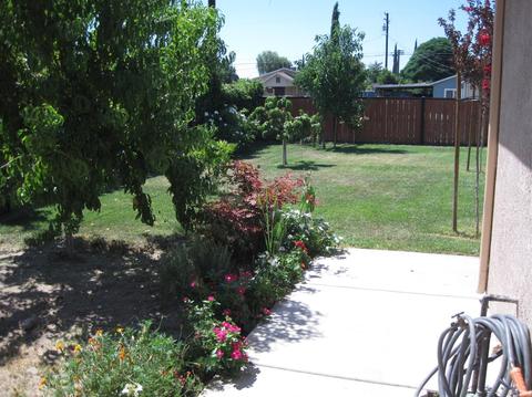 1105 Glenn Ave, Modesto, CA 95358 photo 15