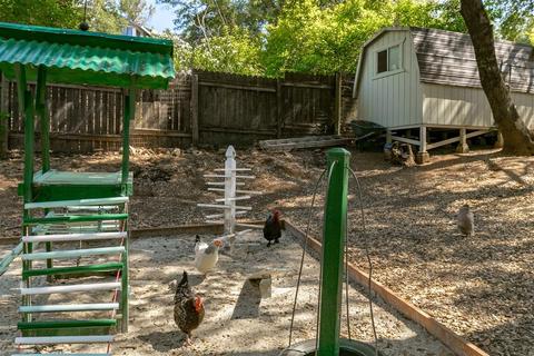 4000 Chestnut Ln, Placerville, CA 95667 photo 43