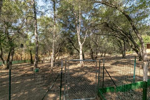 4000 Chestnut Ln, Placerville, CA 95667 photo 37