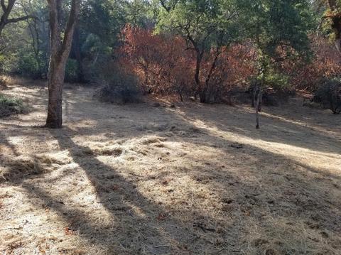 16737 Spring Creek Rd, Applegate, CA 95703 photo 42