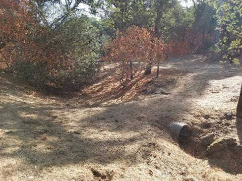 16737 Spring Creek Rd, Applegate, CA 95703 photo 43