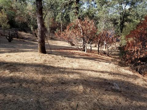 16737 Spring Creek Rd, Applegate, CA 95703 photo 40