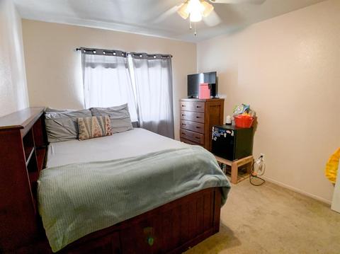 4417 Dandelion Ct, Salida, CA 95368 photo 29