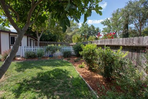 1208 Halifax Ave, Davis, CA 95616 photo 22