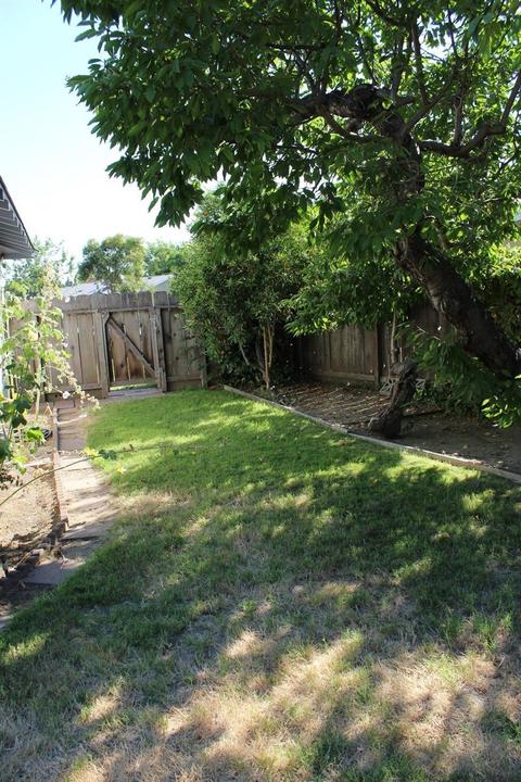 411 Bates Ct, Turlock, CA 95382 photo 15