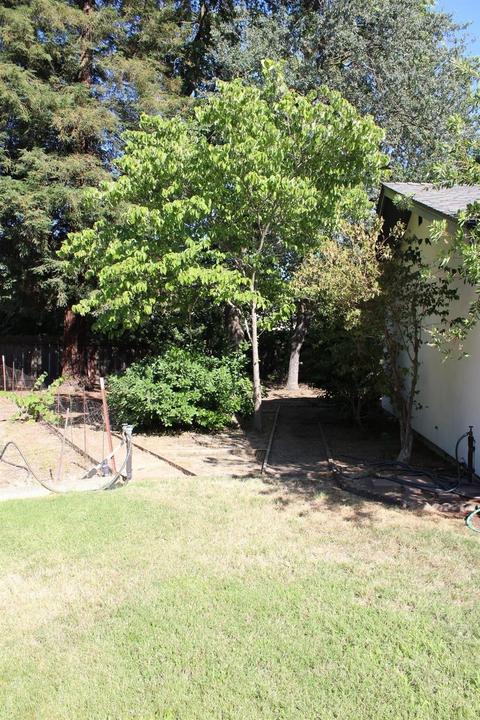 411 Bates Ct, Turlock, CA 95382 photo 18