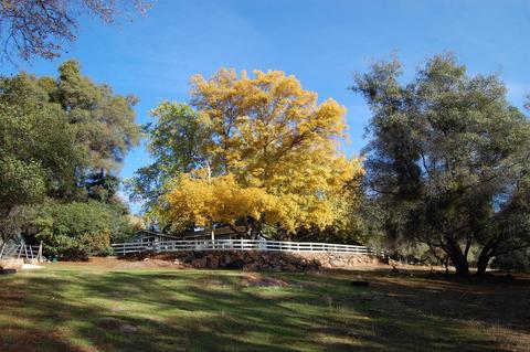 17926 Mccourtney, Grass Valley, CA 95949 photo 85