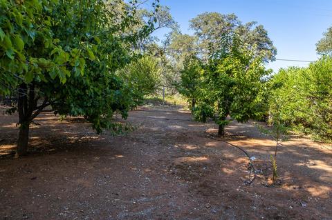 17926 Mccourtney, Grass Valley, CA 95949 photo 77