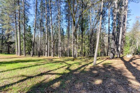 3412 Old Ditch Dr, Placerville, CA 95667 photo 39