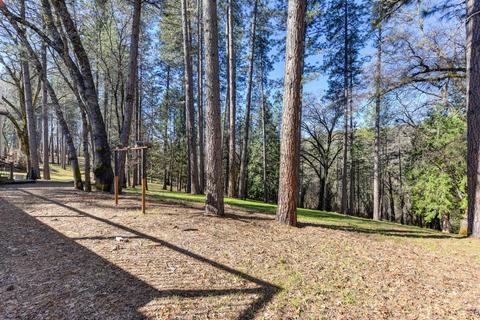 3412 Old Ditch Dr, Placerville, CA 95667 photo 38