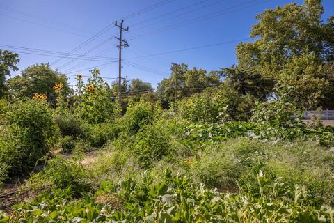 516 Elverta Rd, Elverta, CA 95626 photo 34