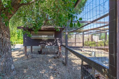 516 Elverta Rd, Elverta, CA 95626 photo 38