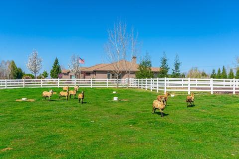 12841 Rimfire Dr, Wilton, CA 95693 photo 63
