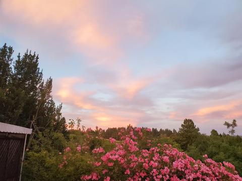 20190 Lomo Ranchos Rd, Volcano, CA 95689 photo 18