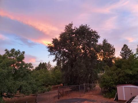20190 Lomo Ranchos Rd, Volcano, CA 95689 photo 17