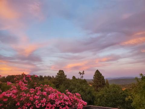20190 Lomo Ranchos Rd, Volcano, CA 95689 photo 20