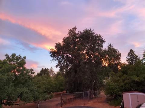 20190 Lomo Ranchos Rd, Volcano, CA 95689 photo 19