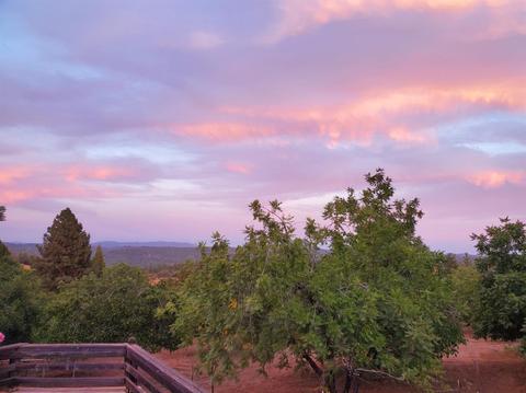 20190 Lomo Ranchos Rd, Volcano, CA 95689 photo 16