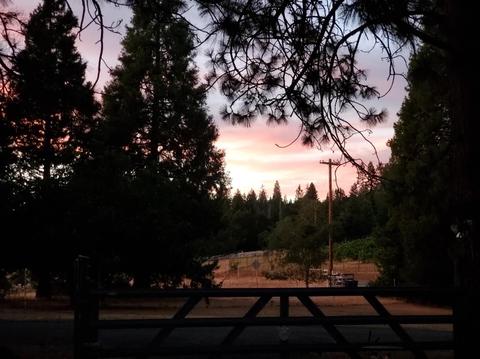 20190 Lomo Ranchos Rd, Volcano, CA 95689 photo 13