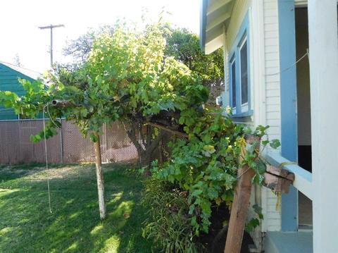 508 Harold St, Lodi, CA 95240 photo 17