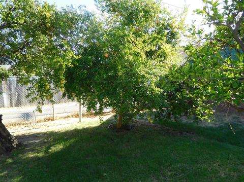 508 Harold St, Lodi, CA 95240 photo 12