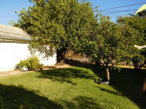 508 Harold St, Lodi, CA 95240 photo 10