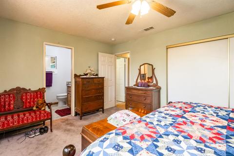 1315 Shaefer St, Manteca, CA 95336 photo 20