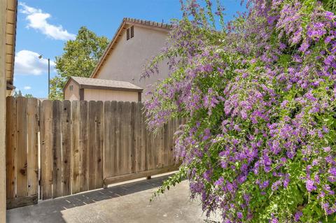1733 Terry Dr, Ripon, CA 95366 photo 42