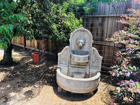 3901 Mondrian, Modesto, CA 95356 photo 37