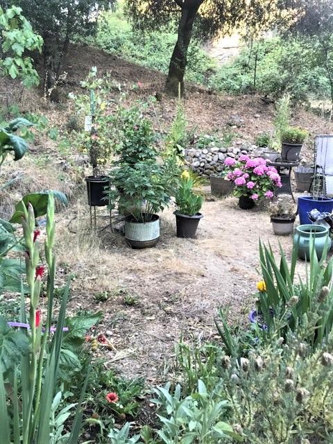 3181 Big Cut Rd, Placerville, CA 95667 photo 7