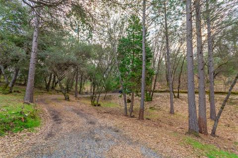 4485 Big Cut Rd, Placerville, CA 95667 photo 34